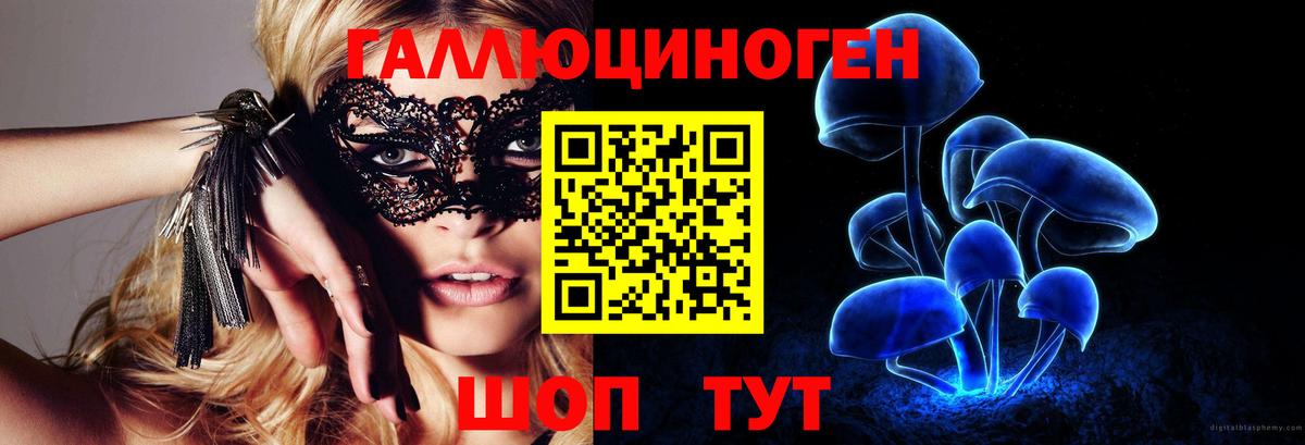 Стерлитамак  Галлюциногенные грибы прущие грибы  Вход с VPN 